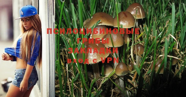 кокс Бородино