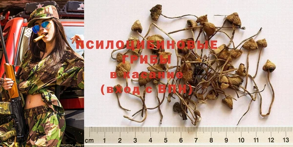 гидра Бронницы