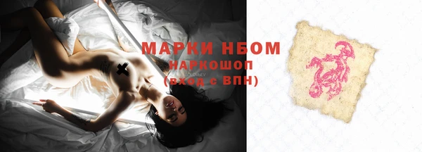 гидра Бронницы