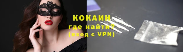 кокс Бородино