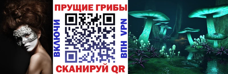 Галлюциногенные грибы Magic Shrooms  купить наркоту  Кондрово 